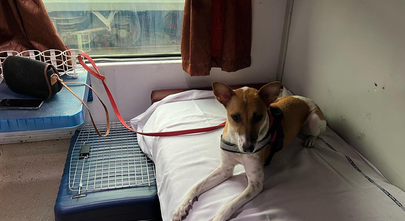 Planning pet train travel involves railway procedures, coupe requests and documentation