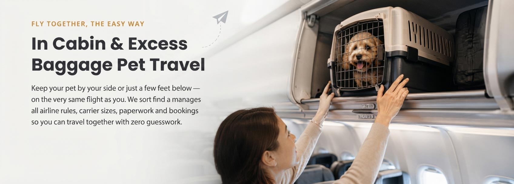 In CabinExcess Baggage